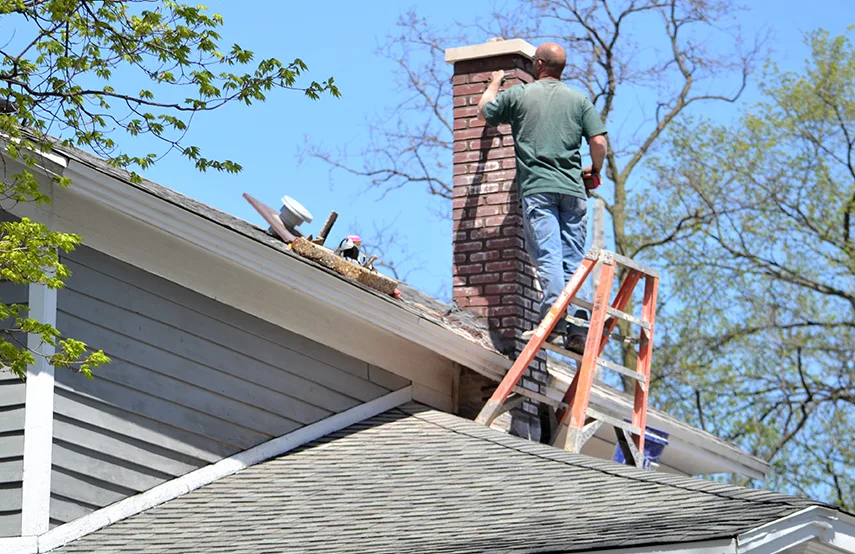 Chimney & Fireplace Inspections Services in Highlands Ranch, CO